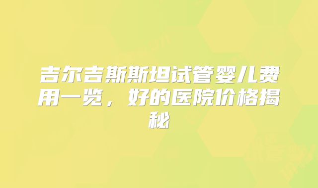 吉尔吉斯斯坦试管婴儿费用一览，好的医院价格揭秘