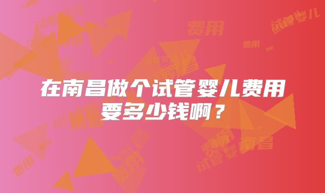 在南昌做个试管婴儿费用要多少钱啊？