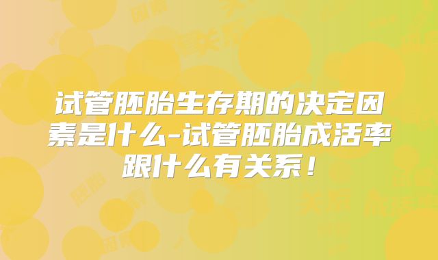 试管胚胎生存期的决定因素是什么-试管胚胎成活率跟什么有关系！