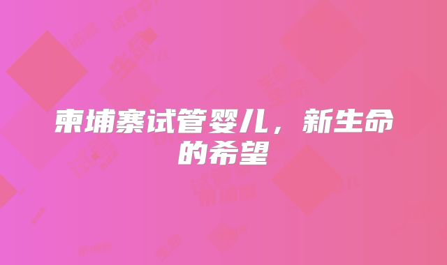 柬埔寨试管婴儿,新生命的希望