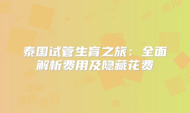 泰国试管生育之旅:全面解析费用及隐藏花费