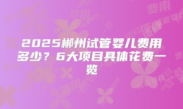 2025郴州试管婴儿费用多少？6大项目具体花费一览