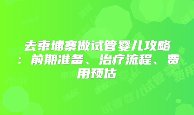 去柬埔寨做试管婴儿攻略：前期准备、治疗流程、费用预估
