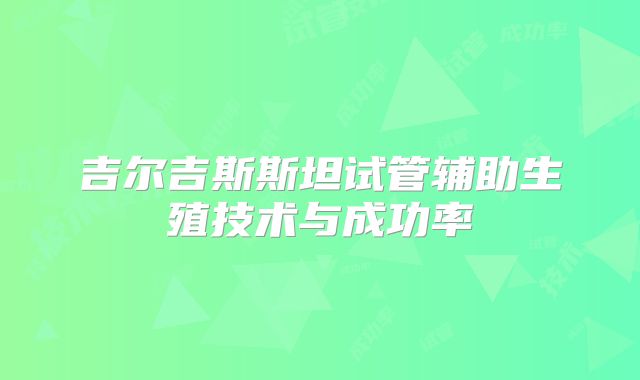 吉尔吉斯斯坦试管辅助生殖技术与成功率