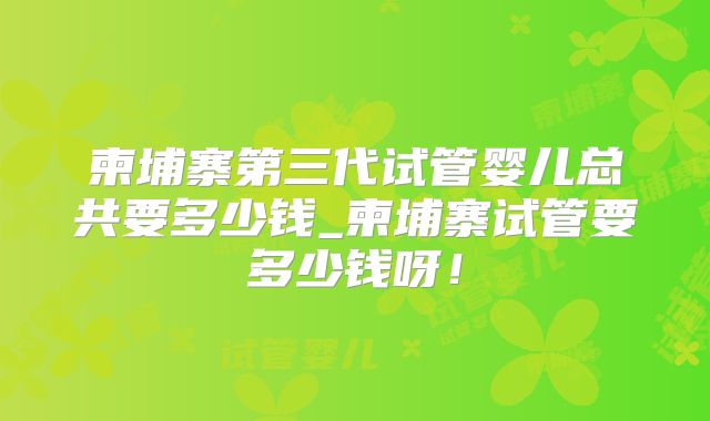 柬埔寨第三代试管婴儿总共要多少钱_柬埔寨试管要多少钱呀！