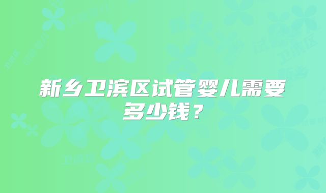 新乡卫滨区试管婴儿需要多少钱?