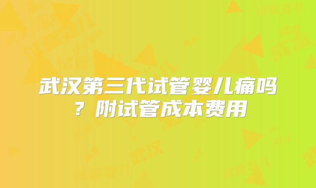 武汉第三代试管婴儿痛吗?附试管成本费用