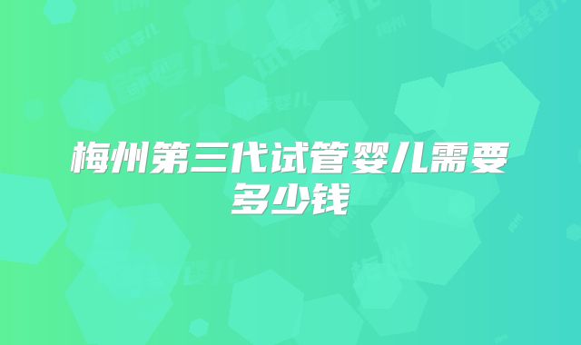 梅州第三代试管婴儿需要多少钱