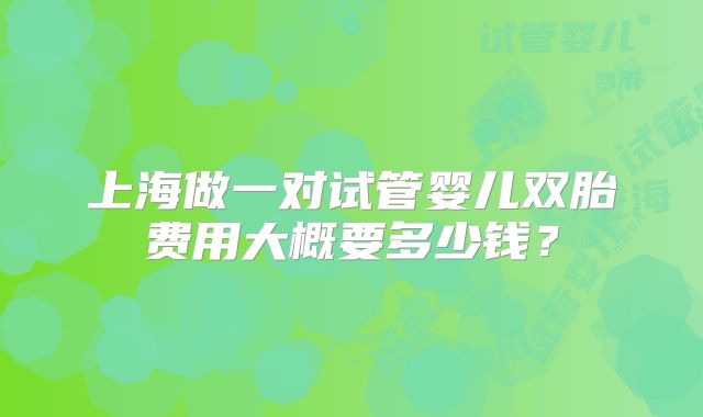 上海做一对试管婴儿双胎费用大概要多少钱？