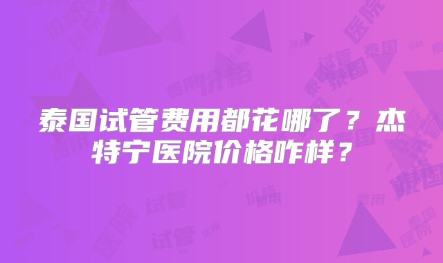 泰国试管费用都花哪了?杰特宁医院价格咋样?