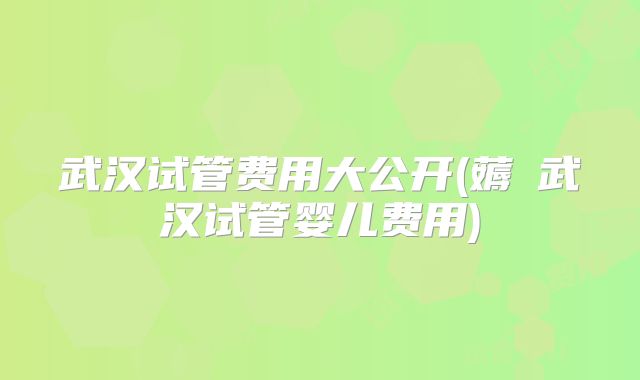 武汉试管费用大公开(薅慜武汉试管婴儿费用)