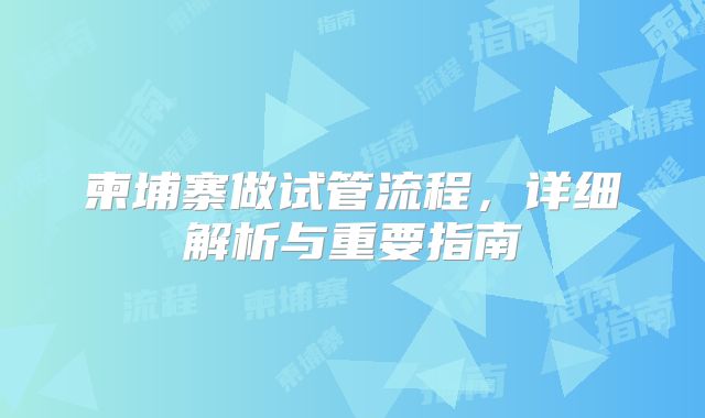柬埔寨做试管流程，详细解析与重要指南