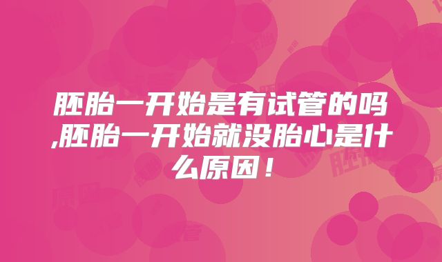 胚胎一开始是有试管的吗,胚胎一开始就没胎心是什么原因!