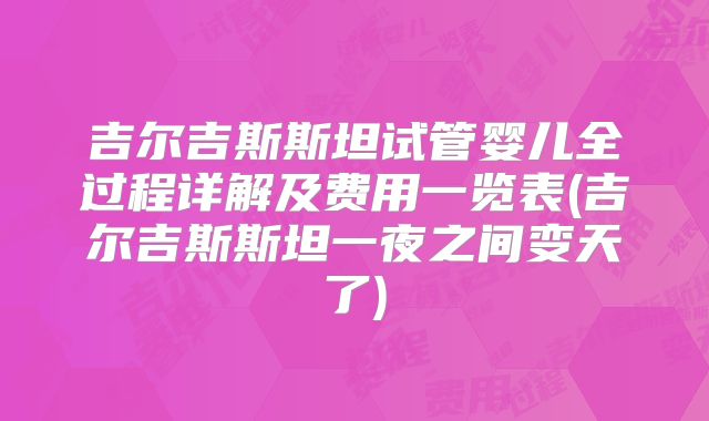 吉尔吉斯斯坦试管婴儿全过程详解及费用一览表(吉尔吉斯斯坦一夜之间变天了)