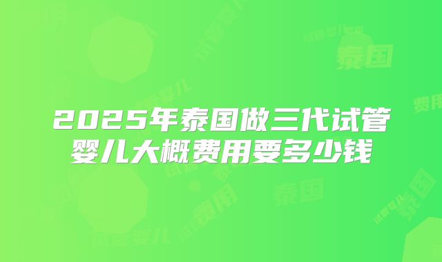 2025年泰国做三代试管婴儿大概费用要多少钱