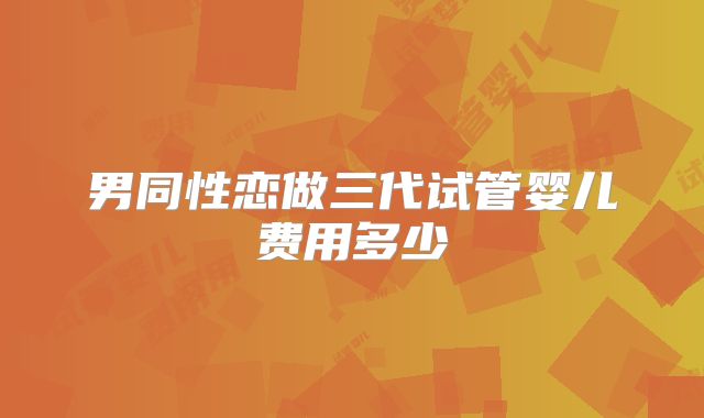男同性恋做三代试管婴儿费用多少