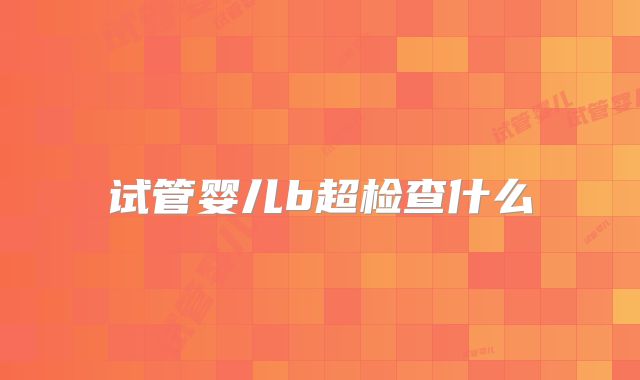 试管婴儿b超检查什么