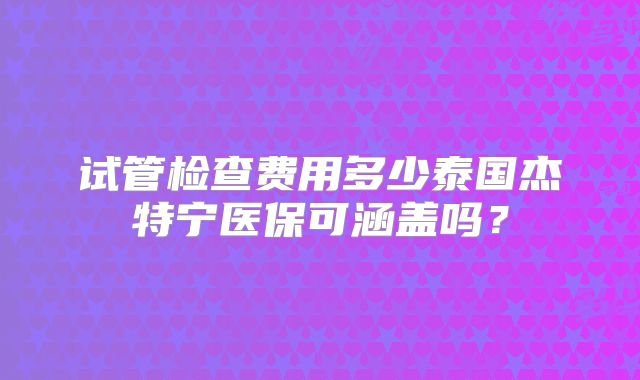 试管检查费用多少泰国杰特宁医保可涵盖吗?