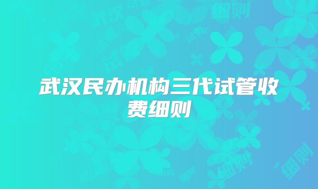 武汉民办机构三代试管收费细则