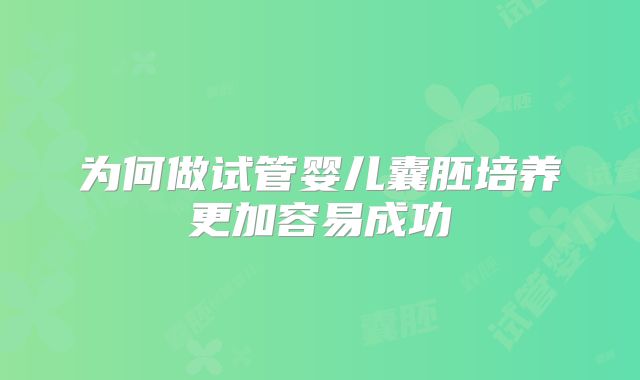 为何做试管婴儿囊胚培养更加容易成功