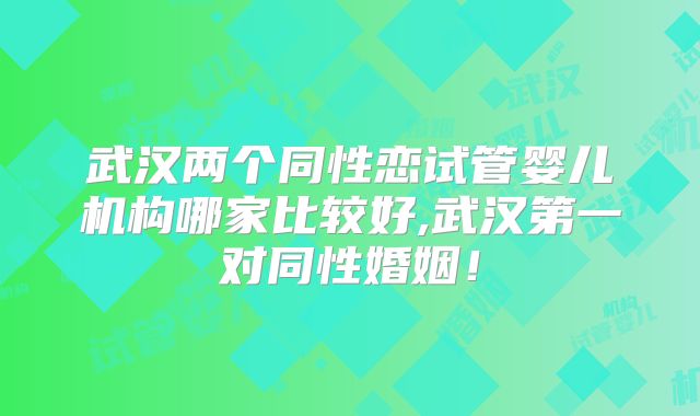 武汉两个同性恋试管婴儿机构哪家比较好,武汉第一对同性婚姻!