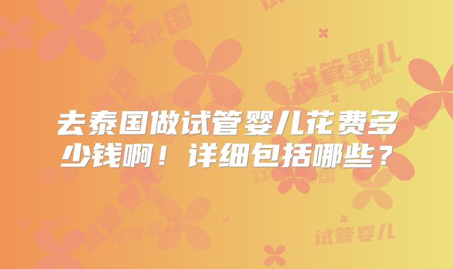 去泰国做试管婴儿花费多少钱啊！详细包括哪些？