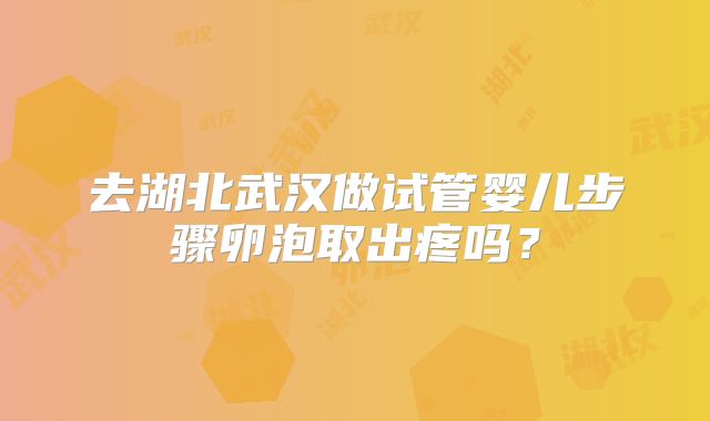 去湖北武汉做试管婴儿步骤卵泡取出疼吗?