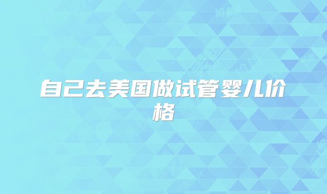 自己去美国做试管婴儿价格