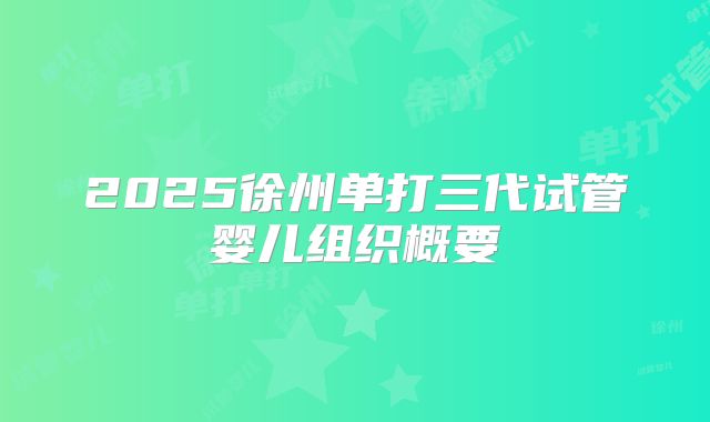2025徐州单打三代试管婴儿组织概要