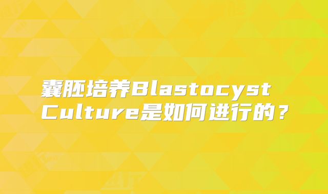 囊胚培养Blastocyst Culture是如何进行的？