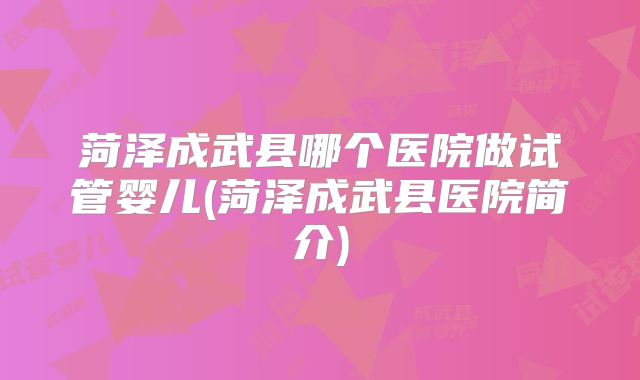 菏泽成武县哪个医院做试管婴儿(菏泽成武县医院简介)
