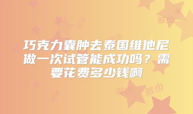 巧克力囊肿去泰国维他尼做一次试管能成功吗?需要花费多少钱啊