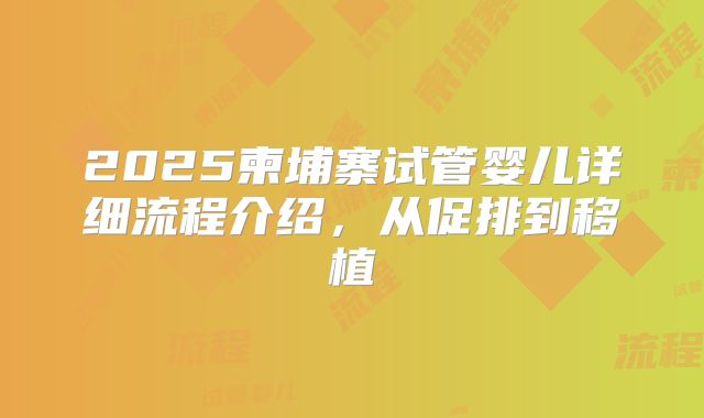2025柬埔寨试管婴儿详细流程介绍，从促排到移植