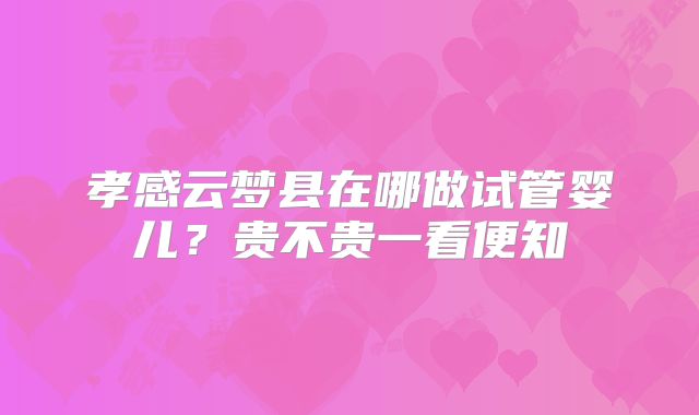 孝感云梦县在哪做试管婴儿?贵不贵一看便知