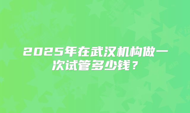 2025年在武汉机构做一次试管多少钱?
