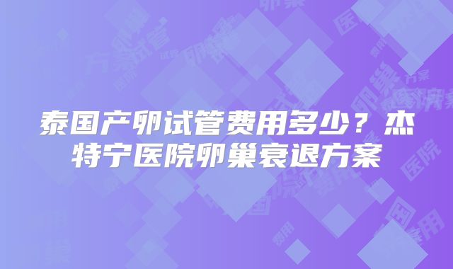 泰国产卵试管费用多少？杰特宁医院卵巢衰退方案