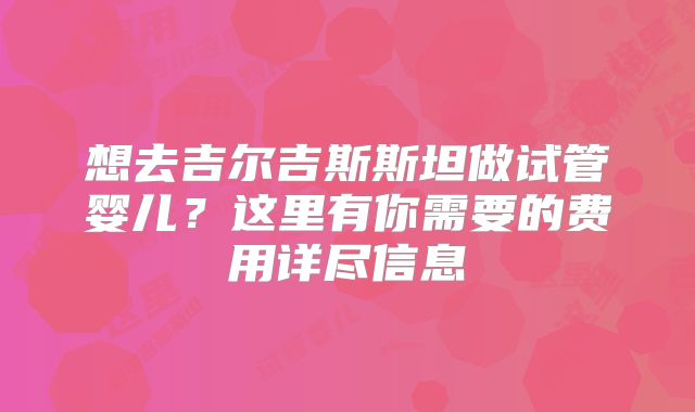 想去吉尔吉斯斯坦做试管婴儿?这里有你需要的费用详尽信息