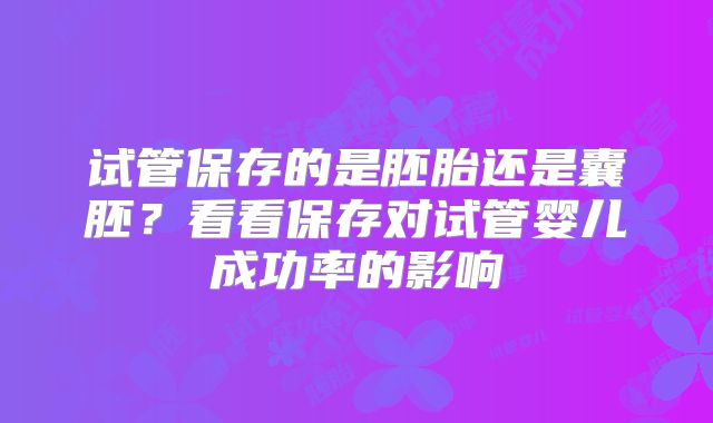 试管保存的是胚胎还是囊胚？看看保存对试管婴儿成功率的影响