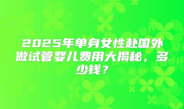 2025年单身女性赴国外做试管婴儿费用大揭秘，多少钱？