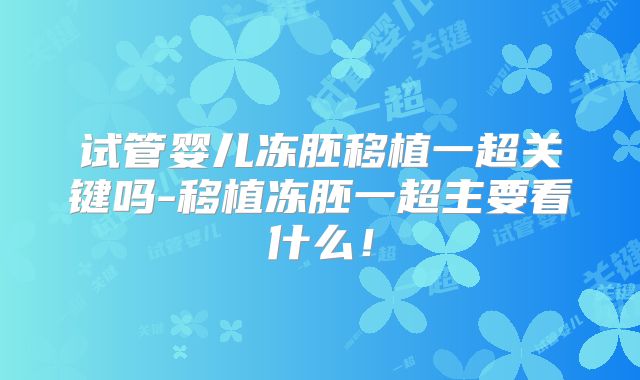 试管婴儿冻胚移植一超关键吗-移植冻胚一超主要看什么！