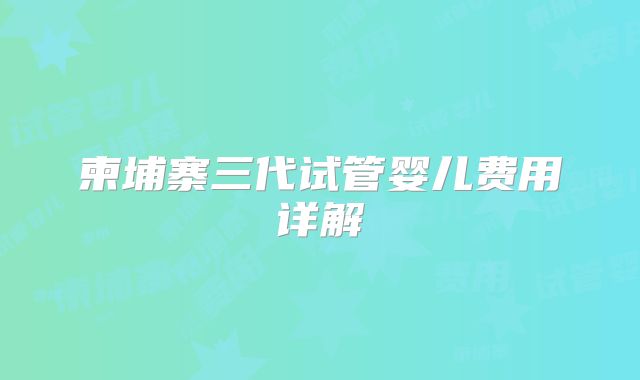 柬埔寨三代试管婴儿费用详解
