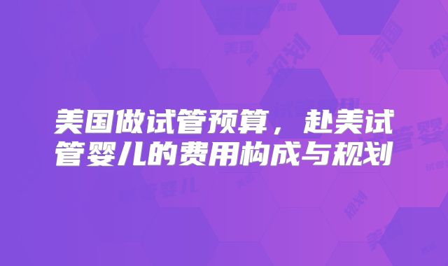 美国做试管预算,赴美试管婴儿的费用构成与规划