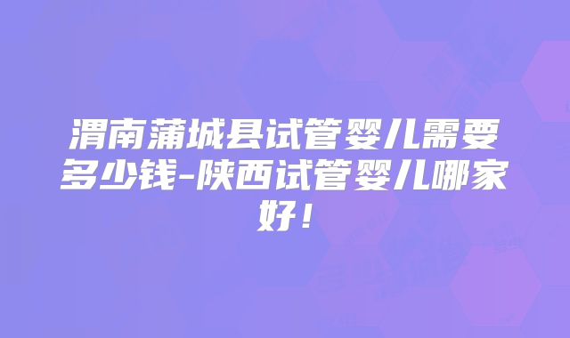 渭南蒲城县试管婴儿需要多少钱-陕西试管婴儿哪家好!