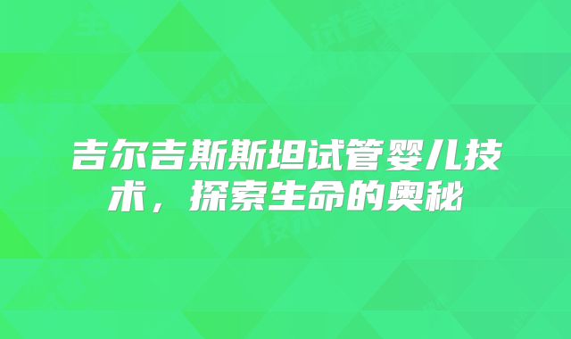 吉尔吉斯斯坦试管婴儿技术,探索生命的奥秘