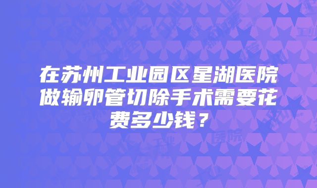在苏州工业园区星湖医院做输卵管切除手术需要花费多少钱？