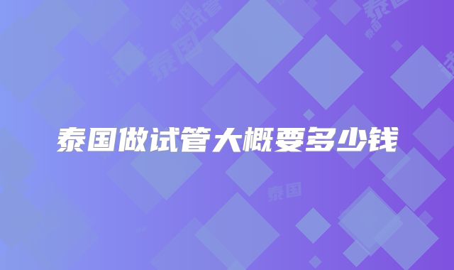 泰国做试管大概要多少钱