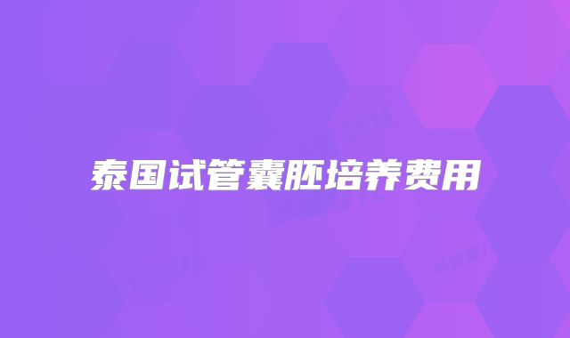 泰国试管囊胚培养费用