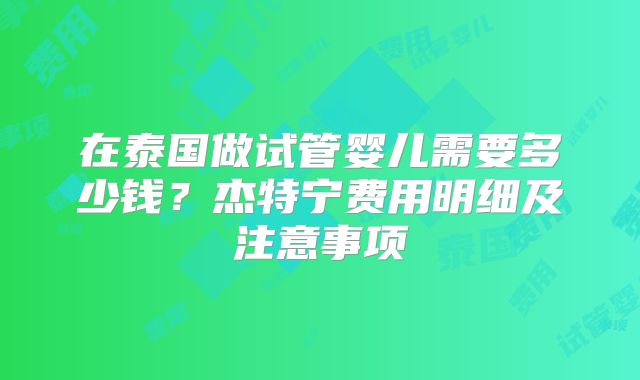 在泰国做试管婴儿需要多少钱?杰特宁费用明细及注意事项