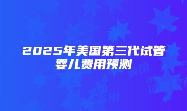 2025年美国第三代试管婴儿费用预测