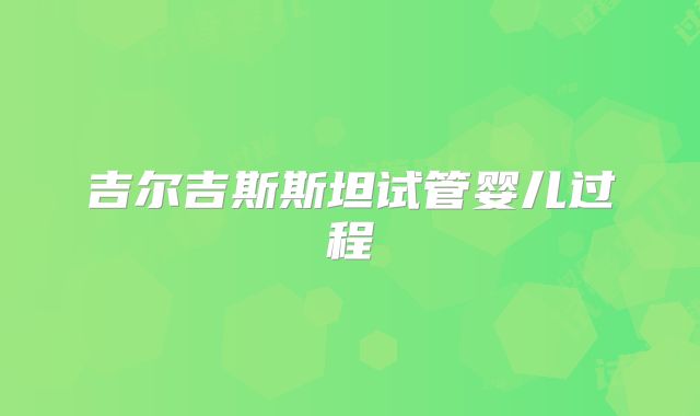 吉尔吉斯斯坦试管婴儿过程